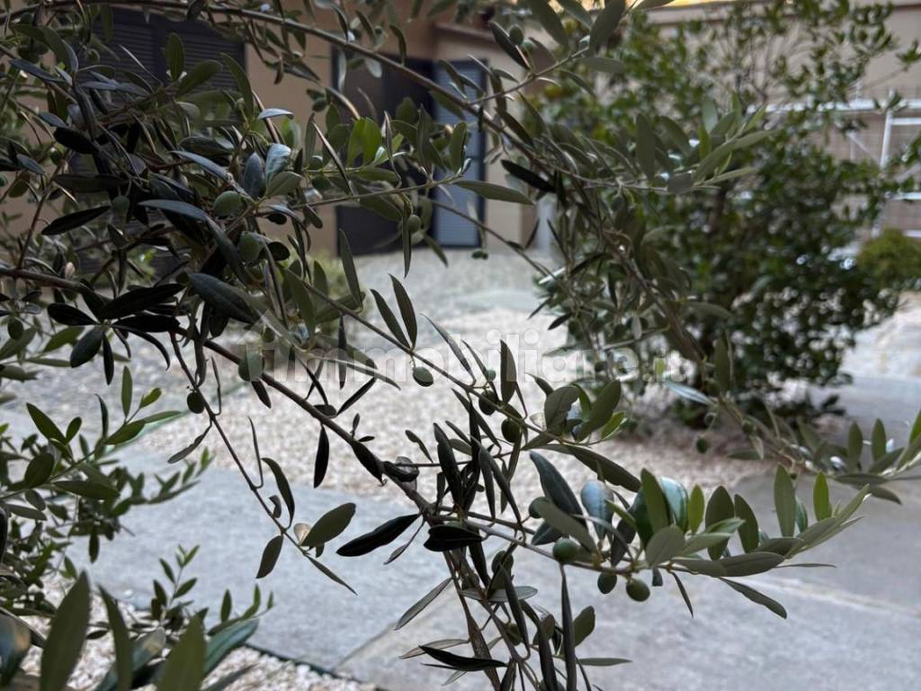 Stanza doppia in San Donato, foto 4 di 22