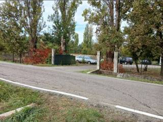Zona