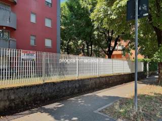 Zona