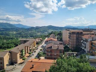 Vista