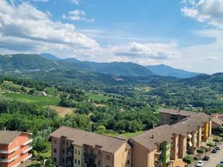 Vista