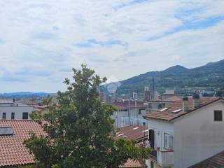 Vista