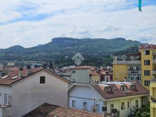 Vista