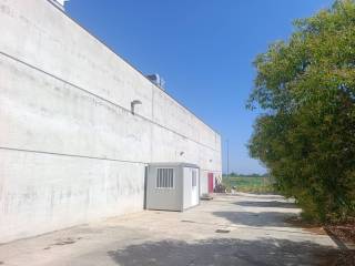 Zona