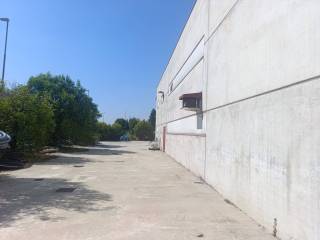 Zona