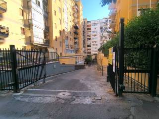 Zona