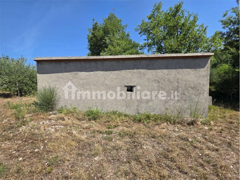 Terreno