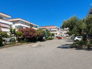 Zona