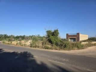 Zona