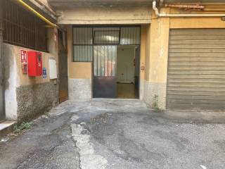 Ingresso