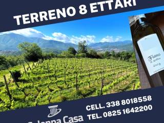 Terreno