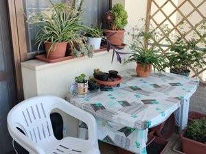 Terrazzo