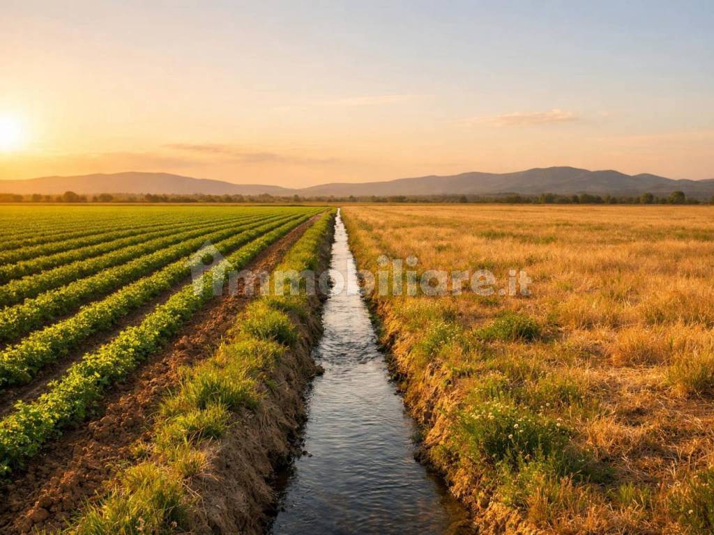 Terreno