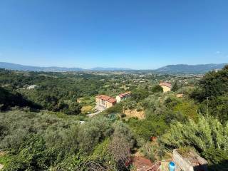 Vista