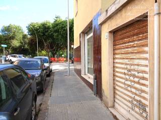 Zona