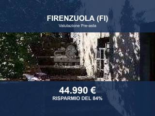Zona