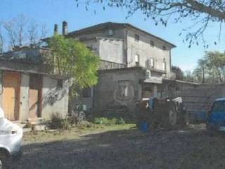 Zona