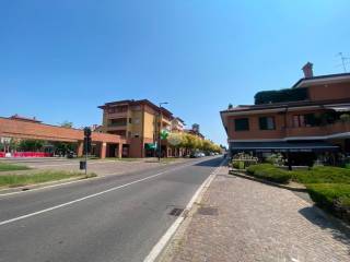 Zona