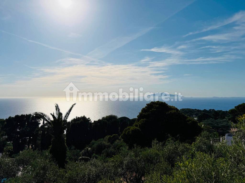 Vista