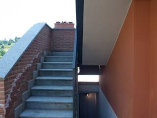 Scala