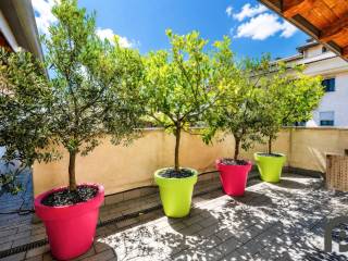 Terrazzo