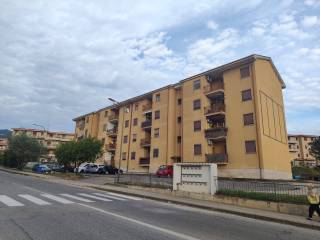 Zona