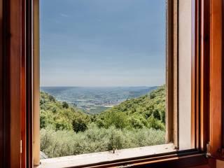 Vista
