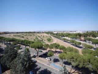 Vista