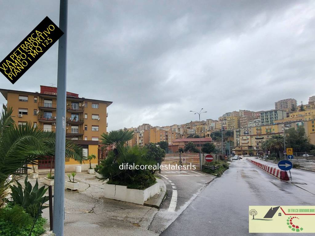 Zona