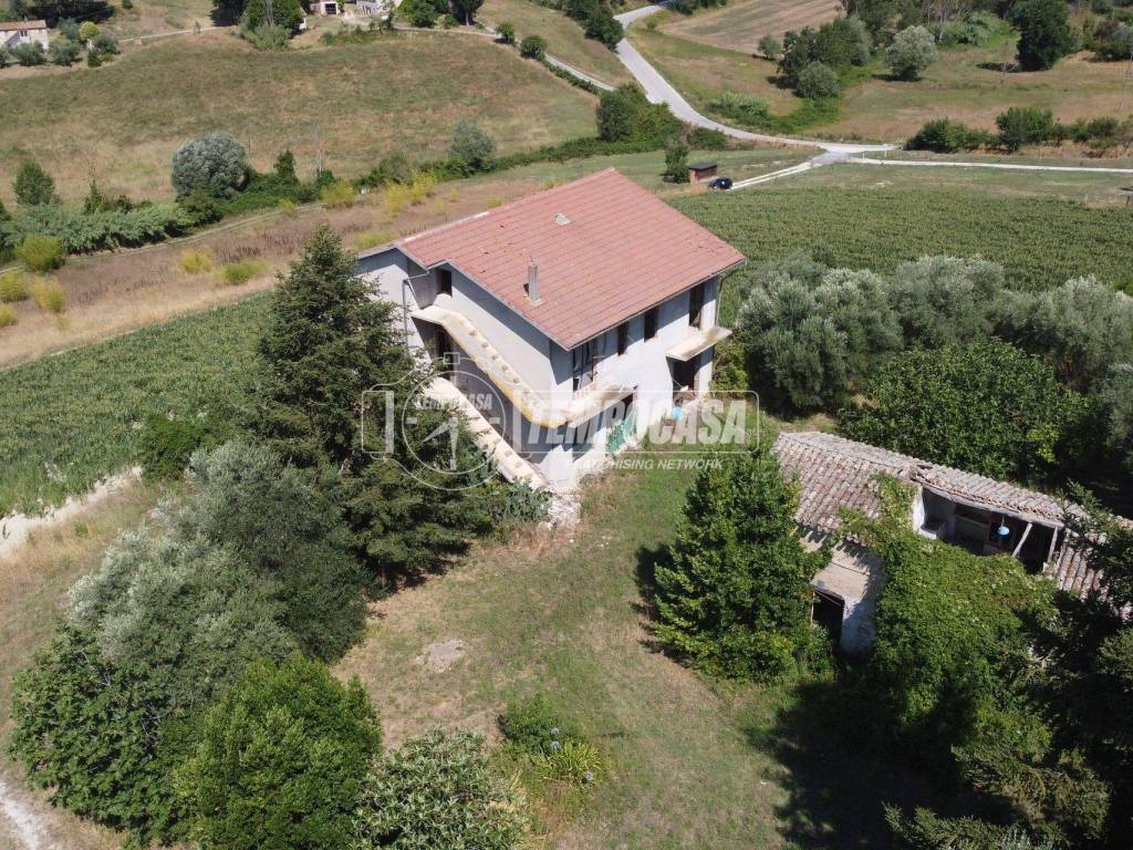 Vista