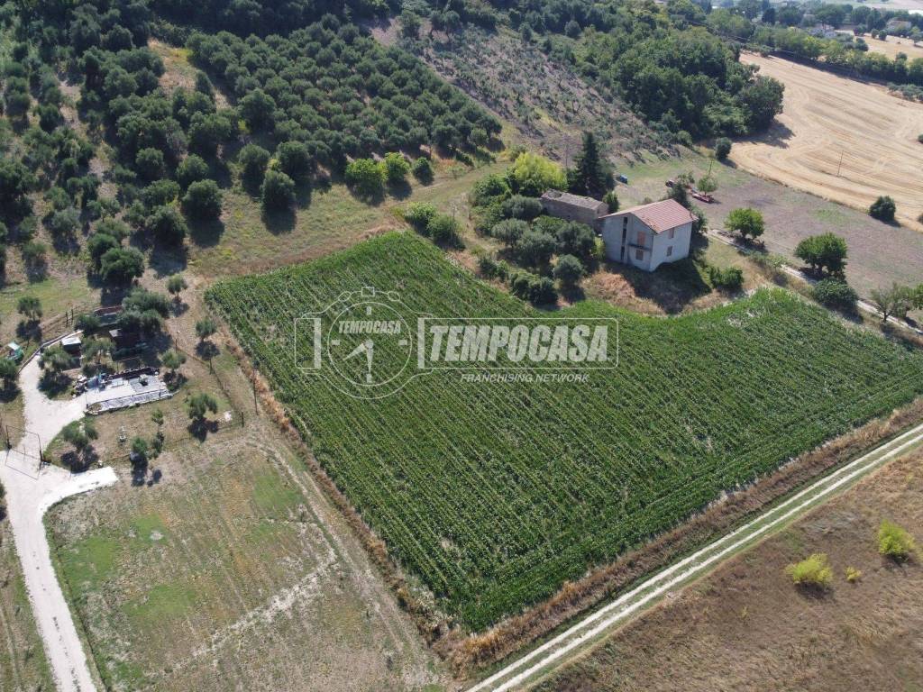 Terreno