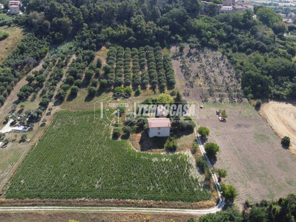 Terreno