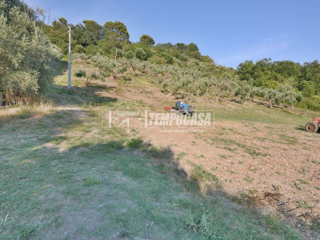 Terreno