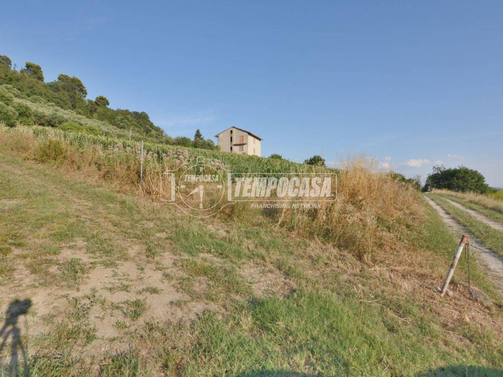 Terreno