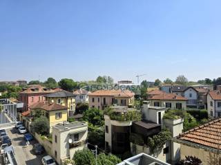 Vista