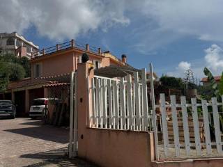 Zona