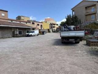 Zona