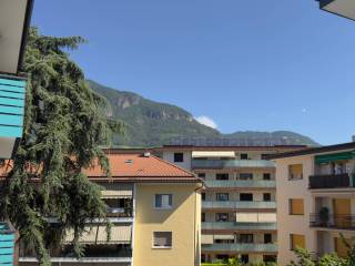 Vista