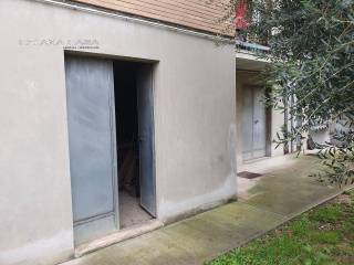 Ingresso