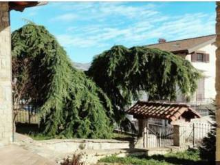 Zona