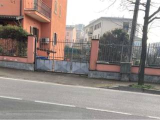 Zona
