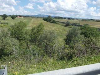 Vista