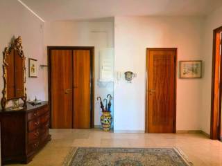 Ingresso