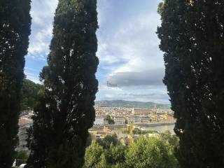 Vista