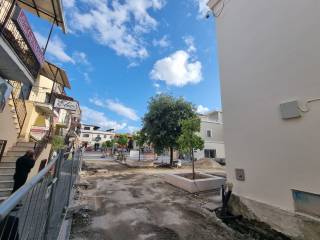 Zona