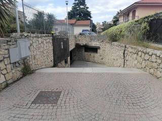 Zona