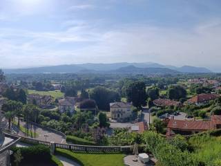Vista