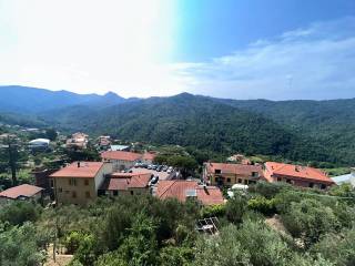Vista