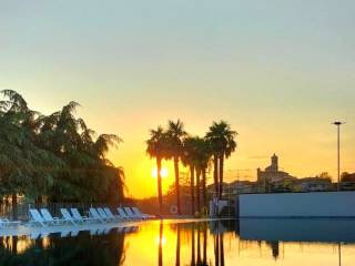 Zona