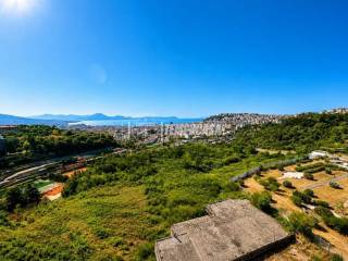 Vista